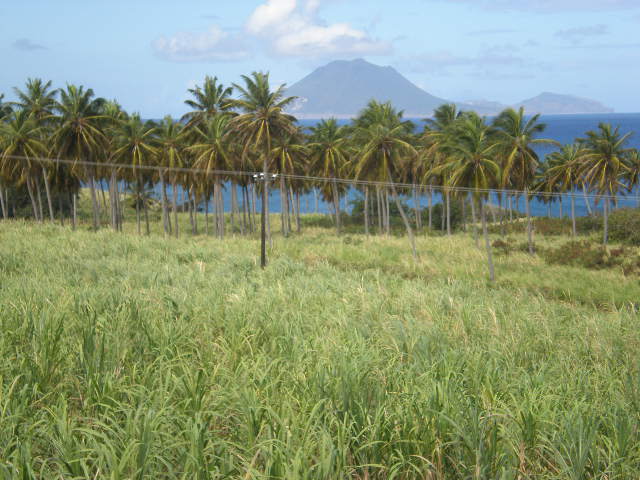 St Kitts Train Ride35.JPG